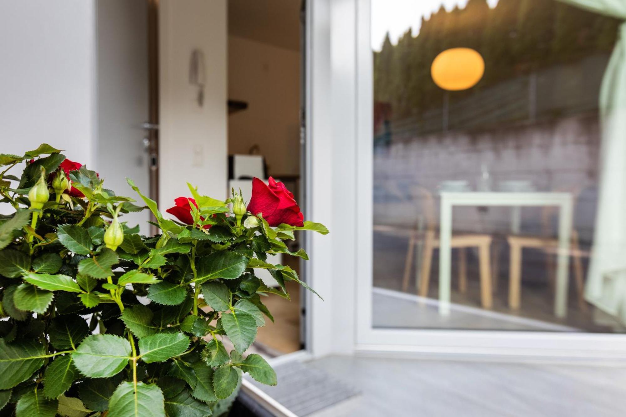Apartamento Easy Flat Vezia, Indipendent Entrance, Free Parking Lugano Exterior foto